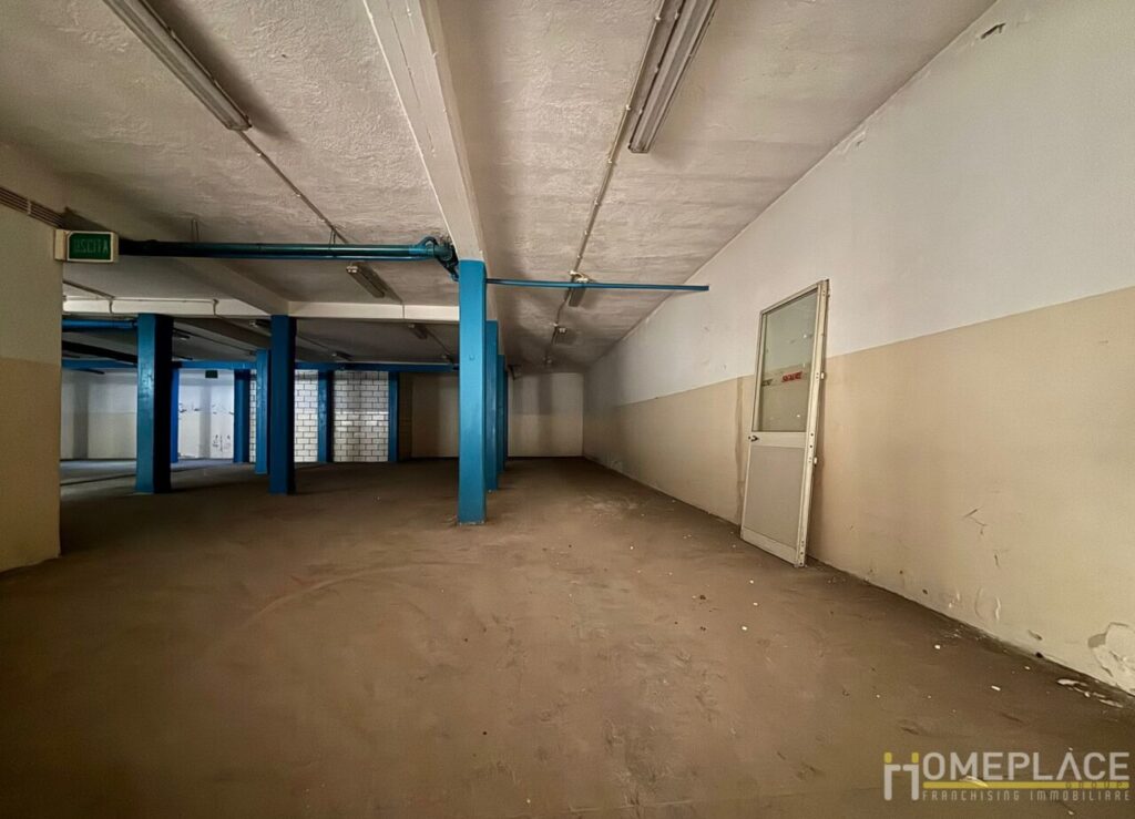 87967444 (12) (1)